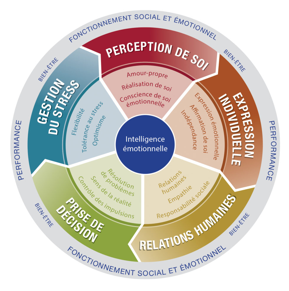 Test intelligence émotionnelle EQ-i
